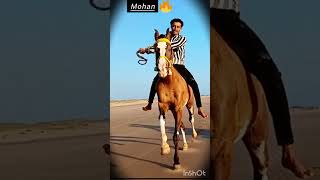 Horse race 🐎👑🔥subscribe shortvideo song shorts youtube youtubeshorts [upl. by Crosse]