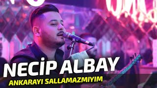 Necip Albay  Ankarayı Sallamazmıyım amp Canımın İçindesin [upl. by Lawry]