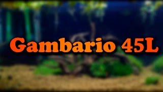 Montaje del nuevo gambario de 45L [upl. by Eidarb824]