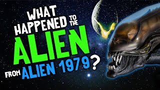 What Happened to the ALIEN from 1979 [upl. by Tam]