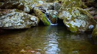 Water Stream Ambience Soft amp Soothing Flowing Water [upl. by Mitman690]