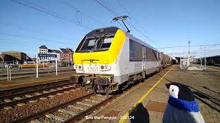 🐧 NMBSSNCB goederentreinfreight train  🇧🇪 BraineLeComte  26 January 2024 [upl. by Birdella929]