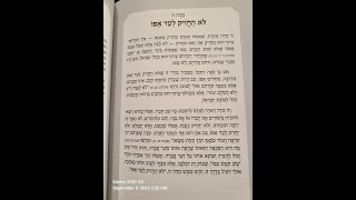 Tomer Devorah  midah  5 [upl. by Odradlig364]