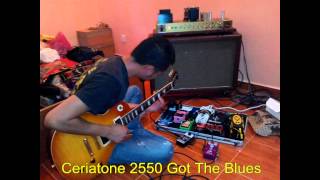 Ceriatone 2550 Got The Blues [upl. by Spiros]