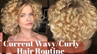 WavyCurly Hair Routine  SulfateSilicone Free [upl. by Melvena]