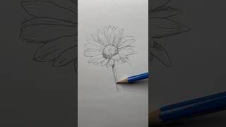 Draw a flower 🌸 Easy drawing lesson for beginners on how to draw a flower drawinglessonhowtodraw [upl. by Marmaduke]