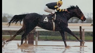 Seattle Slew  Full Documentary [upl. by Okoyk]