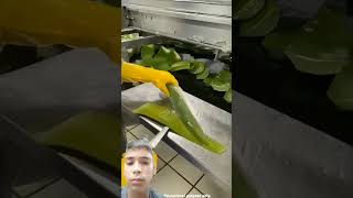 Aloe vera gel making process [upl. by Woodruff360]