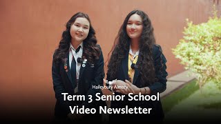 Senior School Video Newsletter  Term 3 [upl. by Penni]