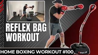 20 Min Beginner Reflex Bag Workout  Cobra Bag vs Punching Ball [upl. by Ailaro387]