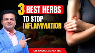 Reduce Inflammation Quickly  3 Secret Herbs [upl. by Krm]