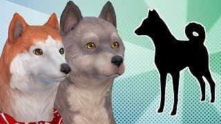 Simsy projektują dzieci Balto i Jenny  Balto amp The Sims 4 [upl. by Leeban]