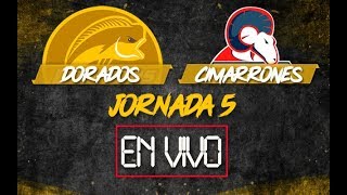 DORADOS VS CIMARRONES  EN VIVO [upl. by Chiles]