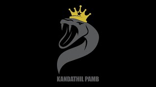 KANDATHIL PAMB PRO SCRIMS LIVE 💀 [upl. by Kania856]