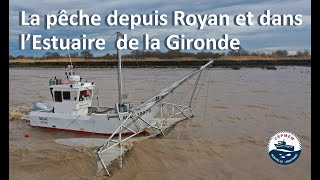 La pêche depuis Royan et dans lEstuaire de la Gironde CRPMEM NouvelleAquitaine [upl. by Eidnar]