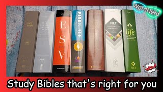 Study Bibles I Recommend  My Top 7 Study Bibles [upl. by Kho]