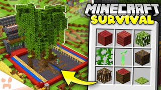 Designing A MANGROVE TREE FARM In Minecraft 119 Survival 66 [upl. by Craig]