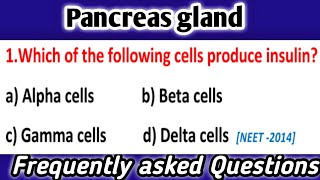 Pancreas Gland  Endocrinology MCQs  Most Important Questions [upl. by Hoes]