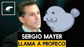 Filtran llamada de Sergio Mayer para denunciar muertes de Manatíes  Carlos Chavira [upl. by Fara]