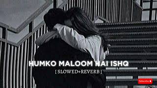 Humko Maloom Hai Ishq Masoom Hai  Slowed amp Reverb  Lofi Remix Song  love meshup [upl. by Ardnuassak863]