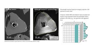 Monarc Cathodoluminescence Detector Wavelength Spectrum Imaging [upl. by Notna509]