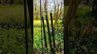 WIND CHIMES ASMR shorts [upl. by Learsiy]