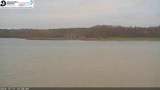 LRWT  Manton Bay Ospreys Live Webcam [upl. by Laucsap]