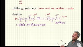 A2 Organic Amino AcidZwitterionElectrophoresis lecture 1 [upl. by Schweitzer403]