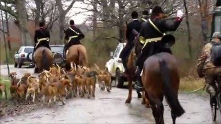 Chasse a courre au cerf  partie 2 [upl. by Imray]