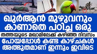 ഖുർആൻ മുഴുവനും കാണാതെ പഠിച്ച ഒരു തത്തയുടെ മഖാമിലെക്ക് കഴിഞ്ഞ ദിവസം പോയപ്പോൾ  Tamil Nadu Dargah [upl. by Ahsilaf]