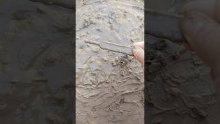 Satisfying mud 73funny oddlysatisfying shortvideo toys shortsfeed diy shorts [upl. by Arotal]