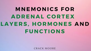 Adrenal Cortex Layers Hormones and functions adrenalgland medical mnemonics endocrinology [upl. by Alodie]