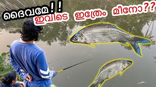 100 ഇവിടെ ചൂണ്ട ഇട്ടാൽ മീൻ ഉറപ്പ്  Easy Fishing Trick For Beginners  Kerala River Fishing [upl. by Keiko976]