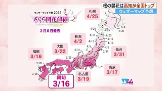 桜の開花《高知が全国トップ》の3月16日、見頃は24日から4月1日【ウェザーマップ予想】 240208 1920 [upl. by Ursal488]