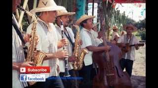 Orquesta Purhepecha La Herencia de Ocumicho Michoacan Album Completo [upl. by Ardnic]