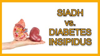 SIADH vs Diabetes Insipidus [upl. by Etnuahc792]