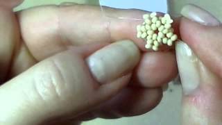 Seed Bead Starfish Tutorial [upl. by Englebert608]