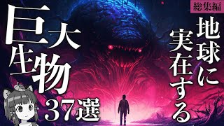 【総集編】世界に実在する信じられない巨大生物37選 [upl. by Mandie]