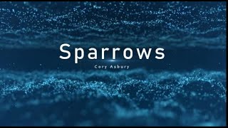 SPARROWS Song by Cory Asbury with Lyric Video  Worship Song with Lyrics  sparrows coryasbury [upl. by Ogata]