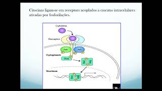 Citocinas e Quimiocinas [upl. by Auqinot]