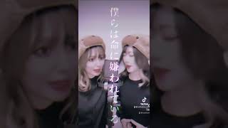 【歌ってみた】命に嫌われているカンザキイオリ【ハモってみた】 紅白 まふまふ [upl. by Pomfrey]