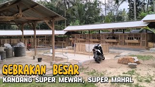 BARACA FARM ISTANA KAMBING ETAWA VIP [upl. by Ibib]