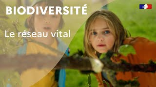 Biodiversité  le réseau vital [upl. by Kurr497]