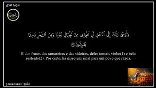 16 Surat AnNahl  النحل 🎤 Sad Alghamidi 💯🌹💗🔂👍🇵🇹🇧🇷🇦🇴 [upl. by Ivie]