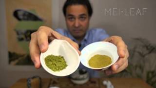 Everything you need to know about Matcha [upl. by Ennairac22]