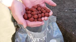 Catch More Carp on the Krill amp Tuna Boilie range [upl. by Kennet]