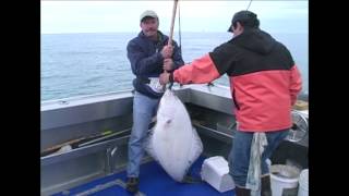 Halibut Fishing at Yakutat [upl. by Almap775]