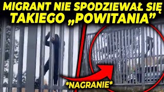 ŻOŁNIERZE quotPRZYWITALIquot MIGRANTA NA GRANICY [upl. by Daney237]