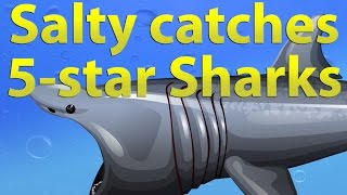 FISHAO  Salty catches 5star Sharks [upl. by Lleinnad339]