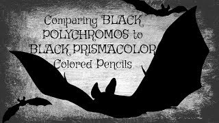 Polychromos or PrismaWhich Is the Blackest Black [upl. by Nihcas188]